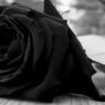 Βαρύ πένθος για τον Γ. Κουλούρα – Τα συλλυπητήρια του ΠΑΝΟΜ